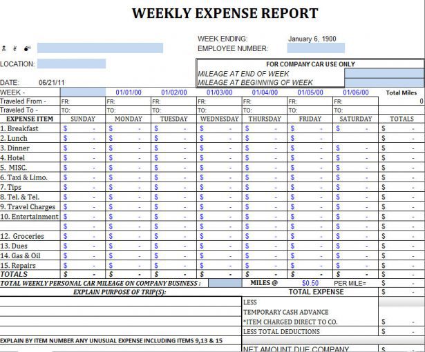 excel sheet format for daily expenses sample