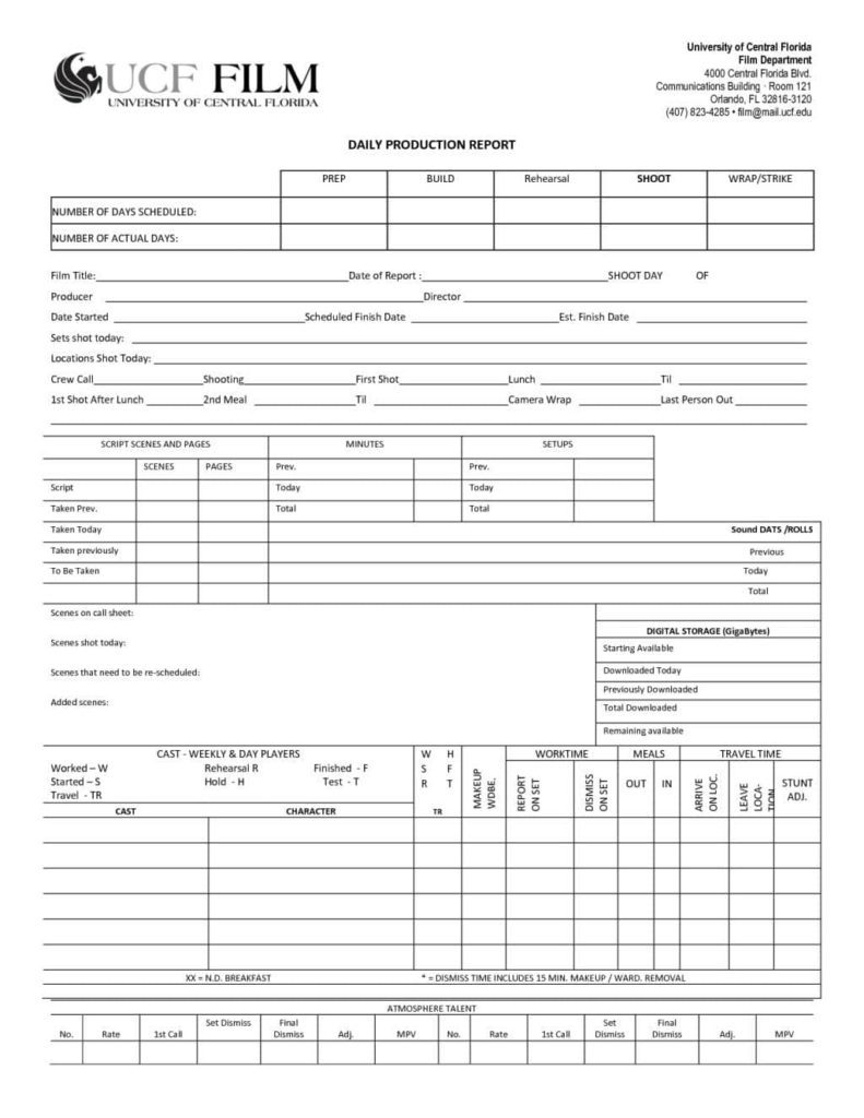 Sample Business Analysis Plan And Format Of Business Analysis Report