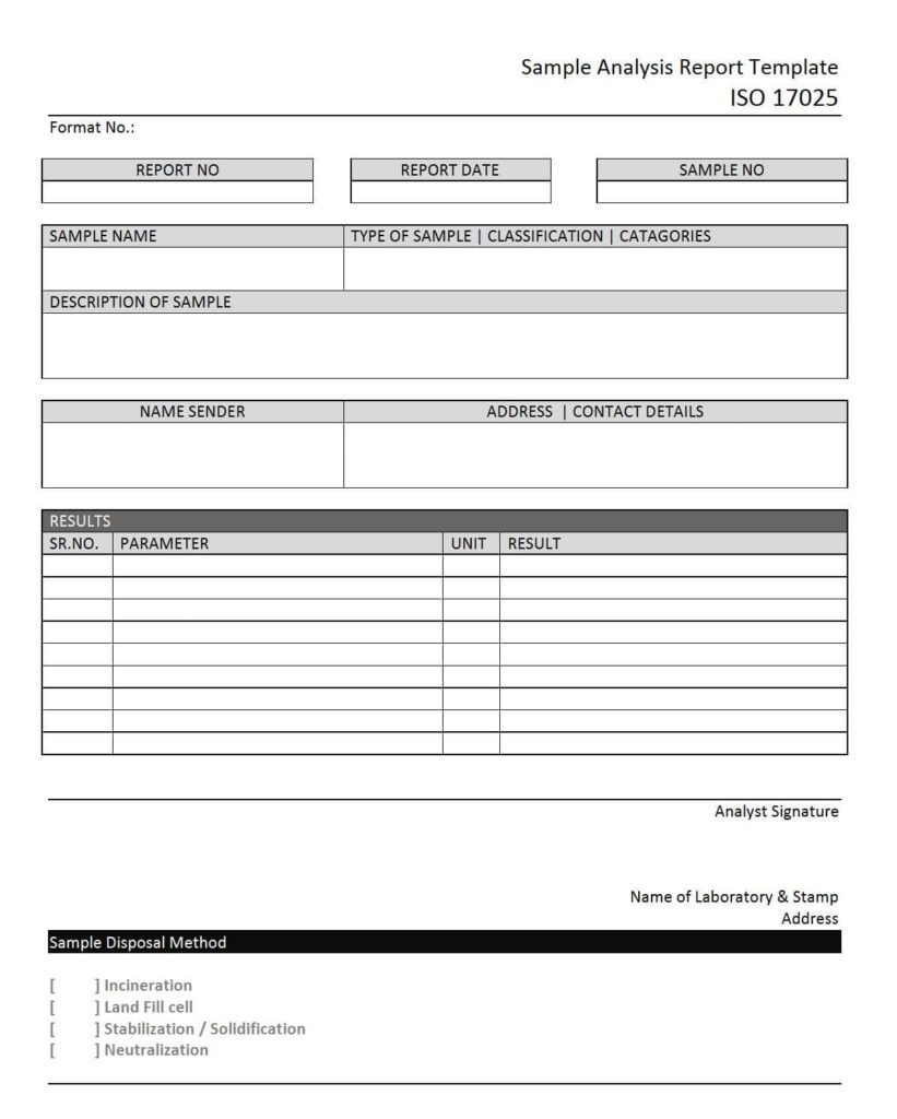 Financial Ratio Analysis Report Template And Sample Project Report Financial Statement Analysis