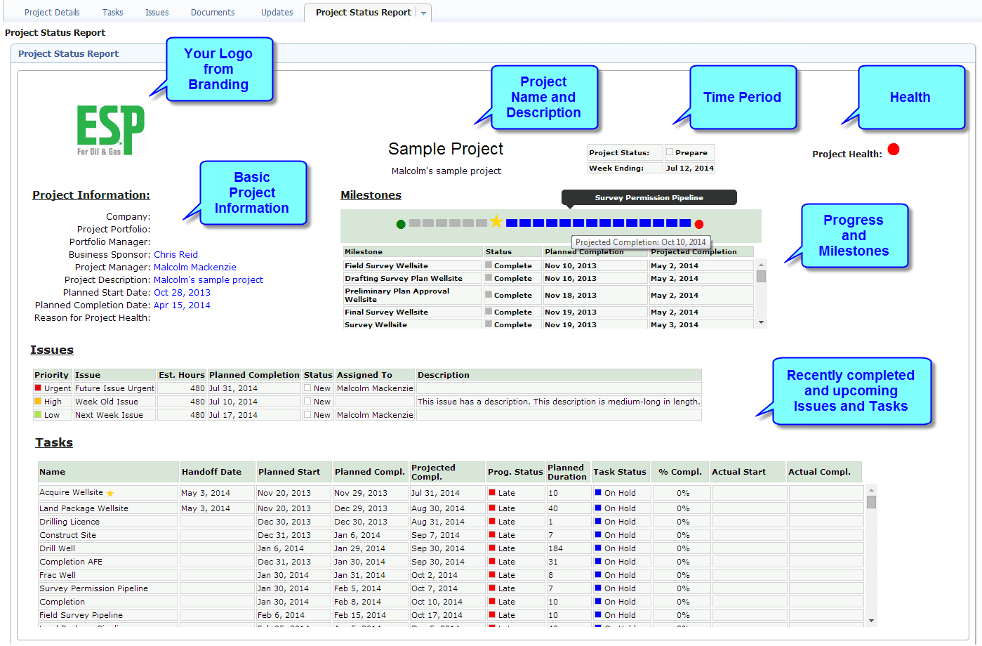 Agile Project Status Report Template And Daily Scrum Status Report Template