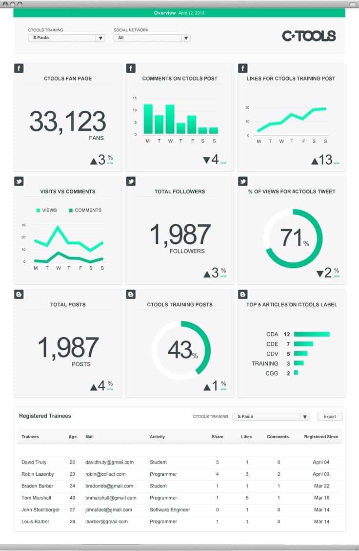 Web Analytics Report Template And Website Usability Analysis Report Sample