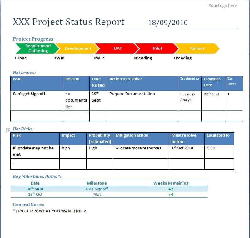 Example Of Project Management Report And Example Of Project Performance Report