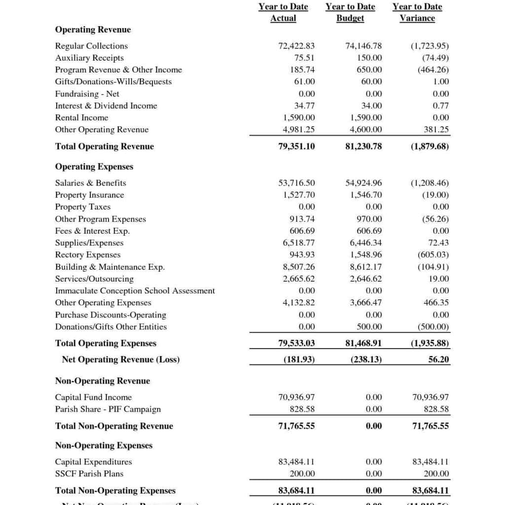 Non Profit Organization Balance Sheet Template And Nonprofit Financial Statements