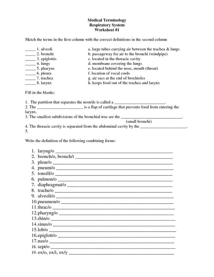 Medical Billing And Coding Sample Test Questions And Free Cpc Practice Exam 2016