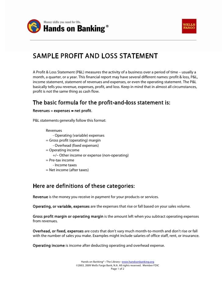 Sample Profit And Loss Statement For Non Profit Organization And Example Profit And Loss Statement For 1099 Employee