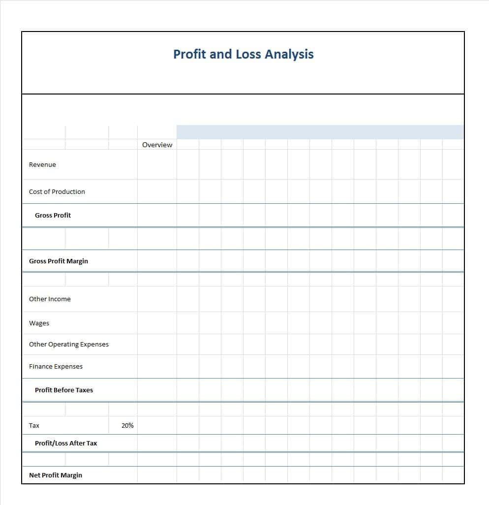 Sample Form Of Profit And Loss Statement And Profit And Loss Statement Template Excel