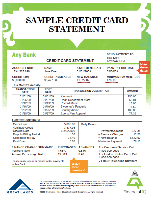 Credit Card Statement Template Word And Chase Credit Card Statement Template