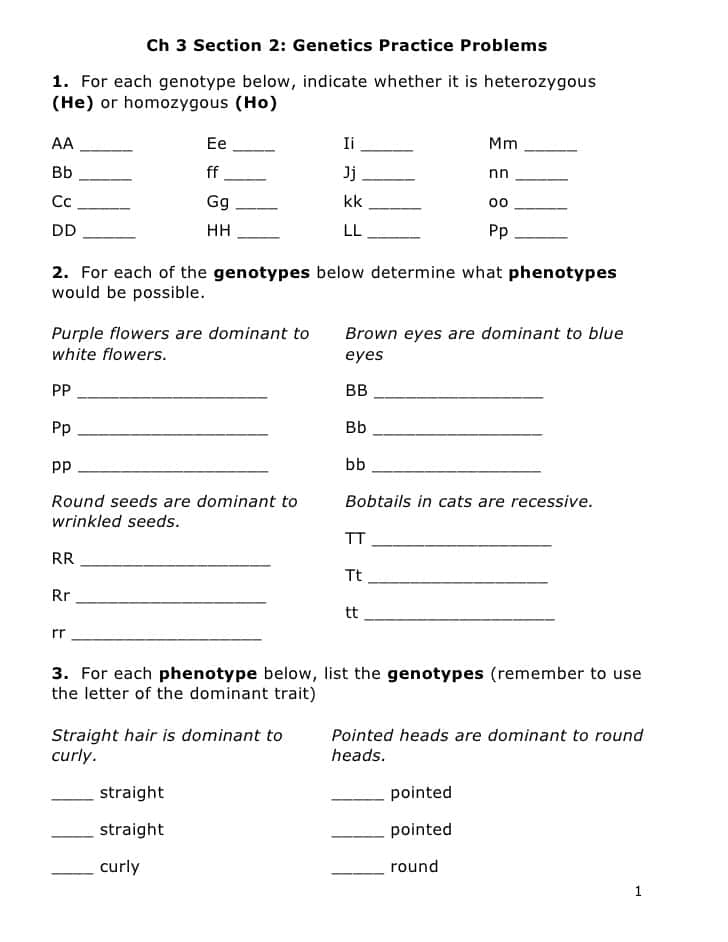 Genetics Practice Sheet And Genetics Worksheet Trait Of The Pea Plant