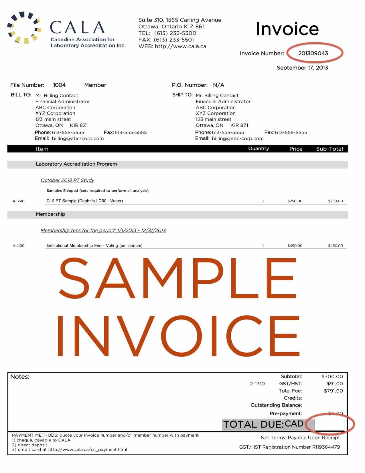 Free invoice template with credit card payment option and credit card acceptance form