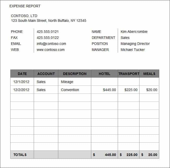 Travel Expense Report Examples And Monthly Expense Report Template
