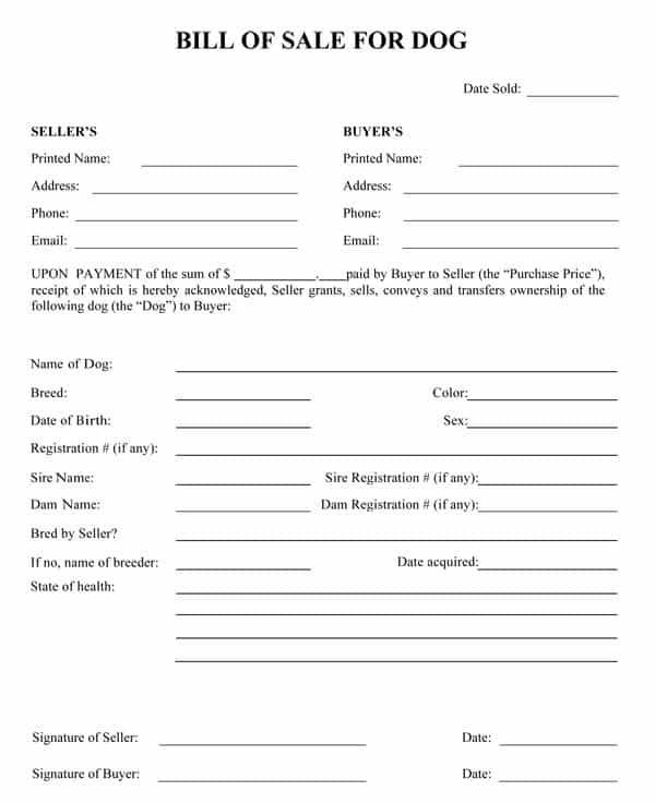 Bill Of Sale And Assignment And Assumption Agreement Template And General Bill Of Sale