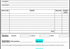 Auto Transport Bill Of Lading Form Pdf And Free Generic Bill Of Lading