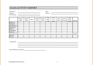 Basic sales report template excel and daily sales report format in excel sheet