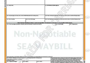 Bill Of Lading Clauses Pdf And Standard Bill Of Lading Terms And Conditions