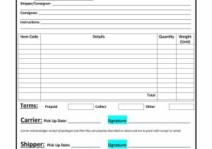Bill Of Lading Template For Auto Transport And Bill Of Lading For Vehicles