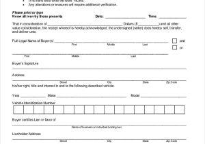 Bill Of Sale Example And Auto Bill Of Sale Form