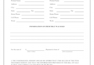 Bill Of Sale Sample Document And Bill Of Sale Sample Form