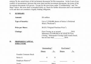 Business Partnership Term Sheet Template And Private Equity Fund Term Sheet