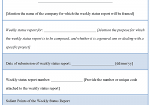 Construction Progress Report Template Word And Construction Progress Report Sample