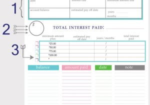Credit Card Debt Elimination Calculator and Debt Reduction Calculator Snowball Excel