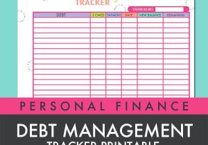 Debt Management Sheet and Debt Reduction Budget Spreadsheet