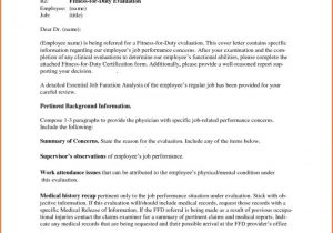 Employee Performance Review Examples And Employee Performance Review Report Template