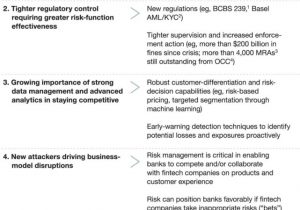 risk management executive summary