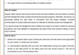Example Final Year Project Report Engineering And Business Project Report Sample