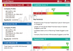 Example Of Bad Credit Report And Sample Credit Report Form