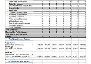 Example Of Profit And Loss Statement In Excel And Sample Pro Forma Profit And Loss Statement