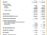 Examples Of Financial Reports For A Restaurant And Examples Of Financial Statements Analysis Report