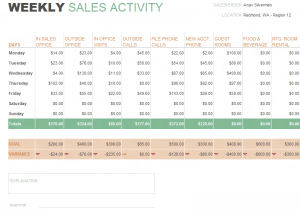 Examples Of Sales Call Reports And Example Of Annual Sales Report