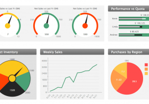 Executive Dashboard Template Free And Free Reporting Dashboard