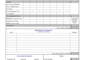 Expense Report Template Excel 2010 And Travel And Business Expense Report