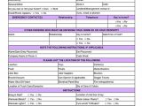 Fake Vet Note And Google Sheets Invoice Template
