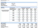 Financial Analysis Report Example Introduction And Template For Financial Analysis Report