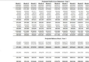 Financial Projections For Startups And Financial Projection Model Excel