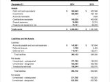 Financial Statement Template Xls And Private Company Balance Sheet