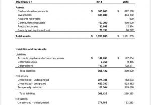 Financial Statement Template Xls And Private Company Balance Sheet