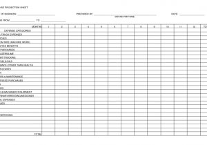 Financial Worksheet Template Usmc And Financial Accounting Worksheet Template