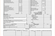 Forms For Personal Financial Statements And Template Of Personal Financial Statement