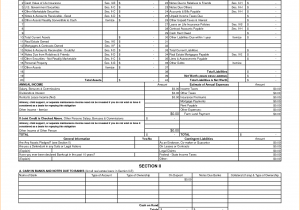 Forms For Personal Financial Statements And Template Of Personal Financial Statement