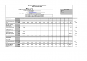 Free Expense Report Form Pdf And Travel Expense Management