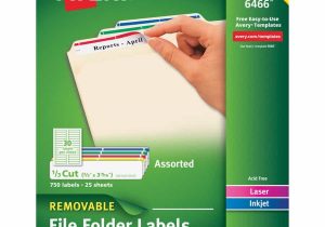 Free Printable File Folder Labels And Filing Folder Label Template