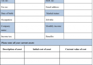 Generic Personal Financial Statement Template And Personal Financial Statements Forms