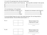 Genetics Practice Problems 3 Monohybrid Problems Worksheet 1 Answer Key And Monohybrid Mice Worksheet Answers