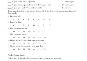 Genetics Practice Problems 3 Monohybrid Problems Worksheet 1 Answers And Genetic Problems Monohybrid Crosses Worksheet Answers