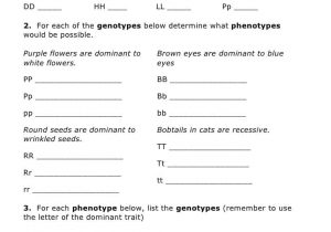 Genetics Practice Sheet And Genetics Worksheet Trait Of The Pea Plant