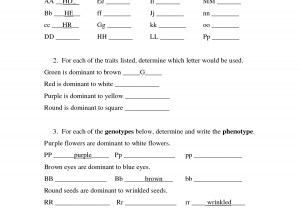 Genetics Test Questions And Answers And Ap Biology Genetics Worksheet Answers