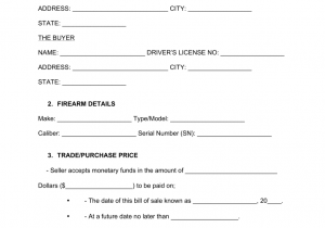 Handgun Bill Of Sale Template And Ffl Background Check Online